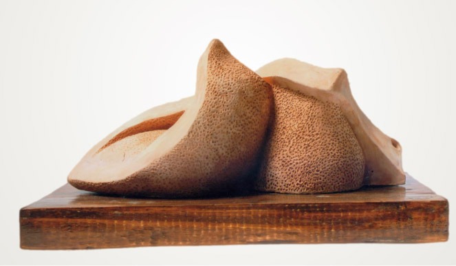 Buffalo-And-The-Birds