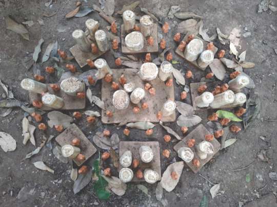 Final Artscapes Catalogue 2025_Page_13_Image_0002