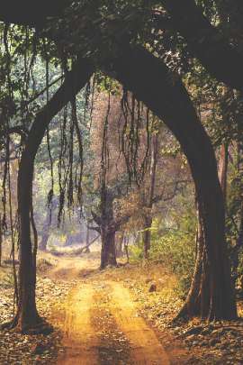 Final Artscapes Catalogue 2025_Page_35_Image_0002