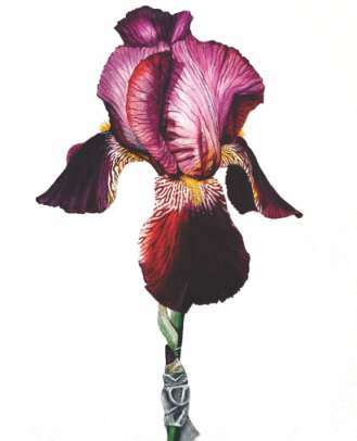 Final Artscapes Catalogue 2025_Page_52_Image_0002