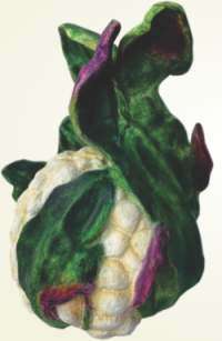 Final Artscapes Catalogue 2025_Page_59_Image_0002