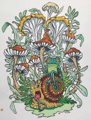 Final Artscapes Catalogue 2025_Page_62_Image_0001